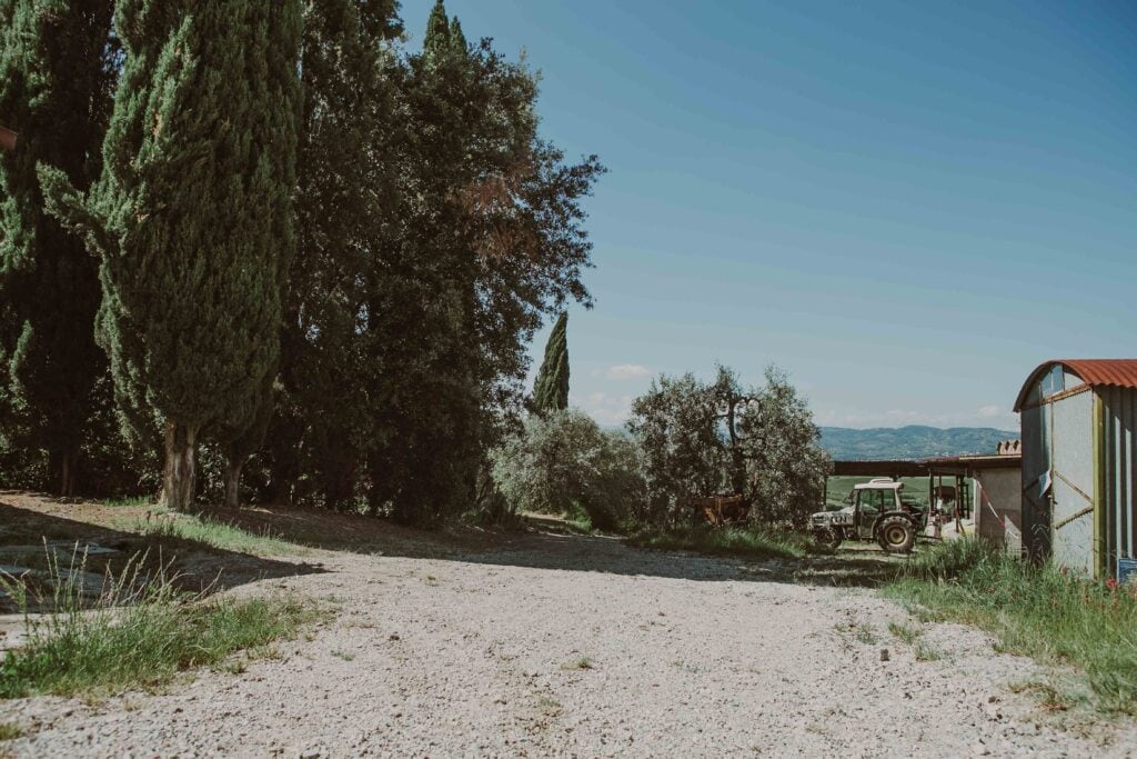 Azienda agricola Fralupaia eredi Gini Piero & C s.s.