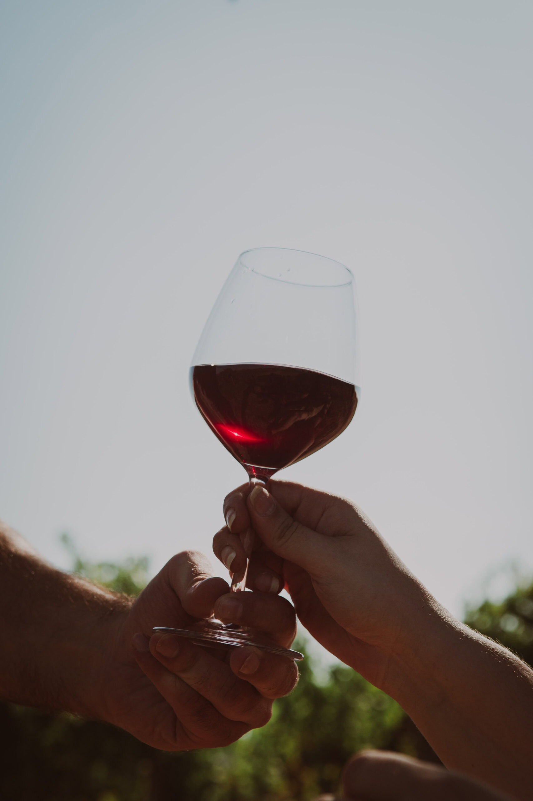 Calice di vino Vinci Firenze