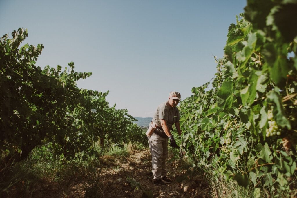Mariotti Emanuela Fralupaia