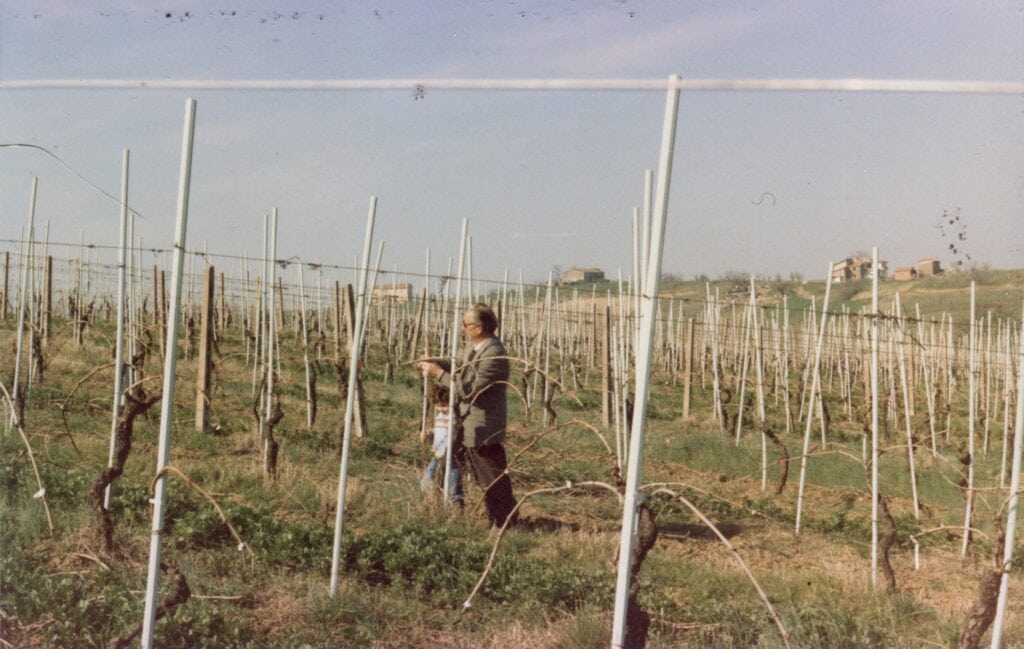 Gini Rolando e Gini Luca Azienda Agricola