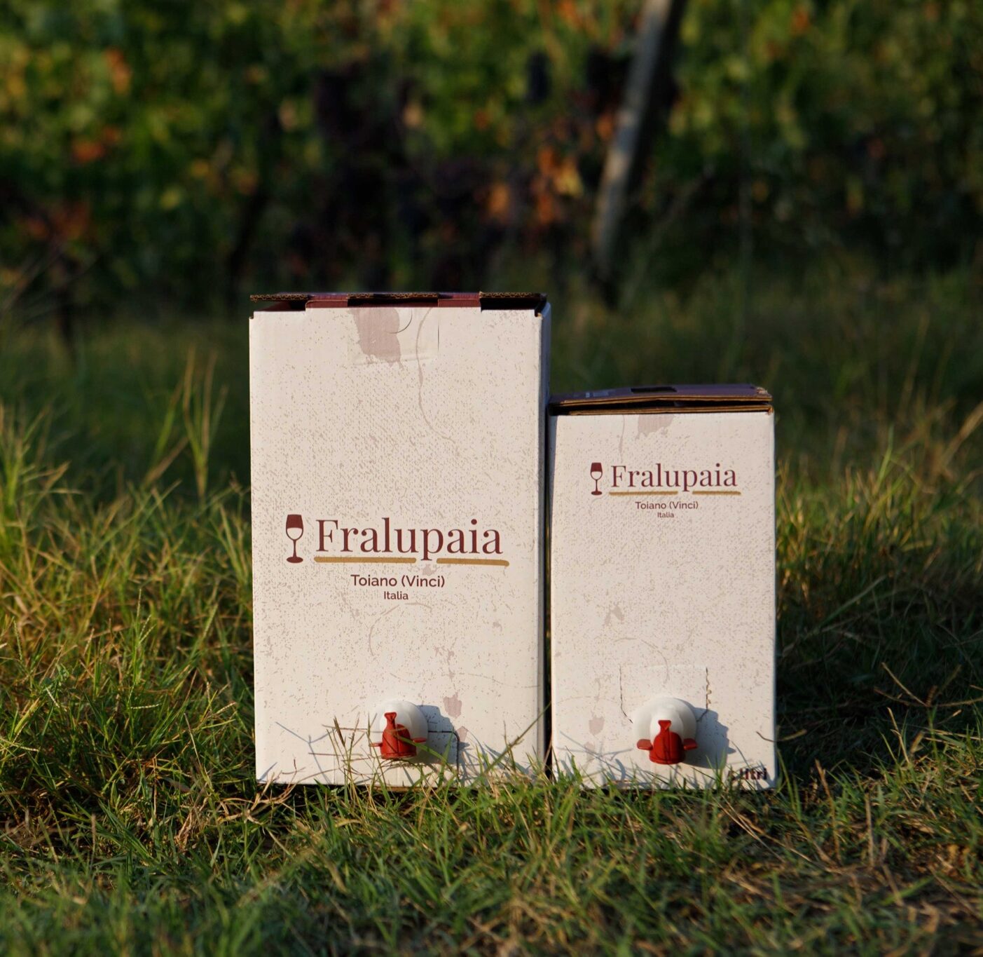 Bag-in-box Rosso di Toscana Fralupaia - Image 2