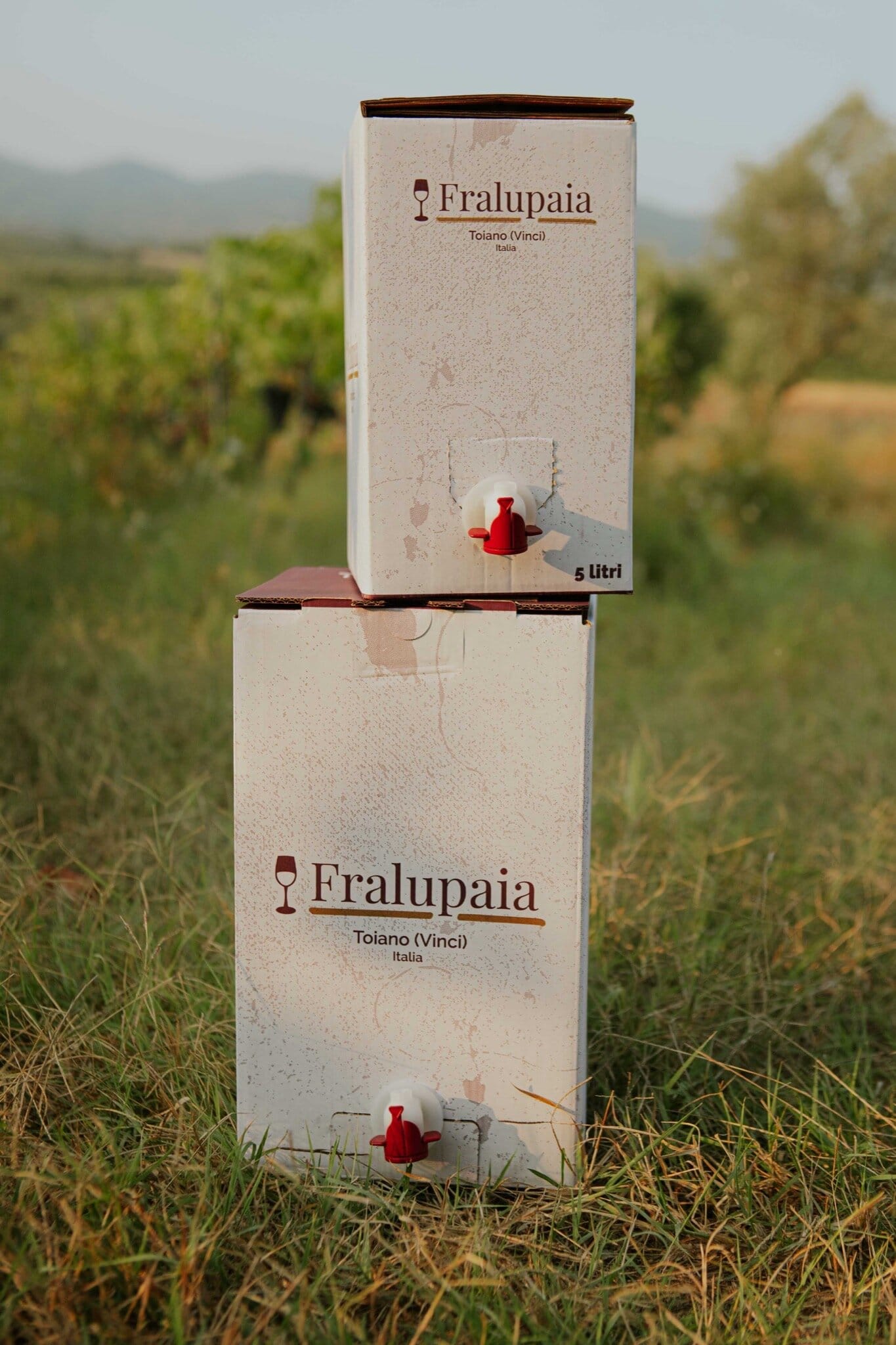 Bag-in-box Rosso di Toscana Fralupaia