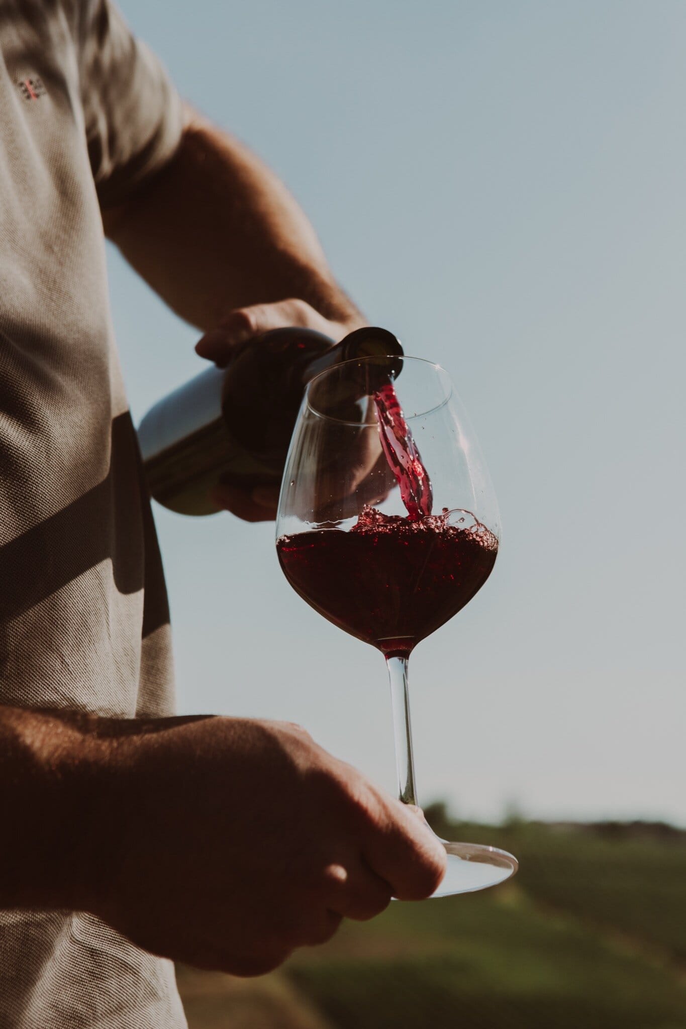 Bag-in-box Rosso di Toscana Fralupaia - Image 7